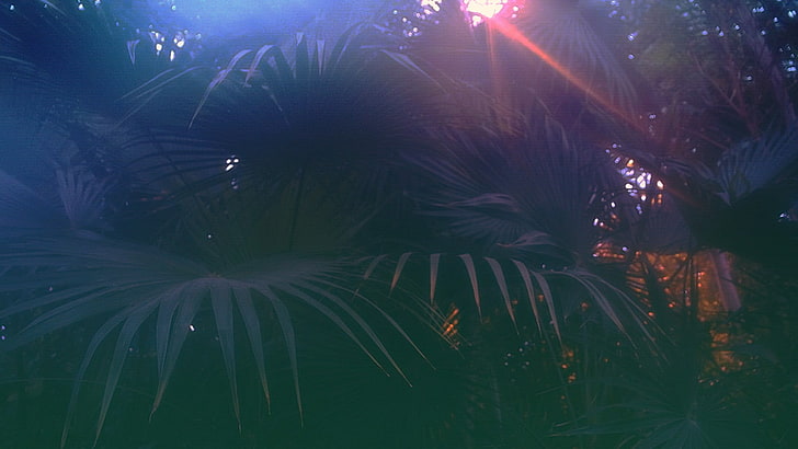 green palm plant, vaporwave, glitch art, night, firework Display