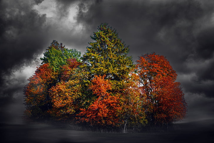red and green leafed trees, fall, colorful, dark, sky, clouds
