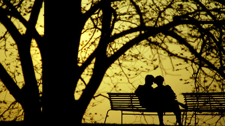 Twilight In The Park, trees, romantic, silhouette, bench seats, HD wallpaper