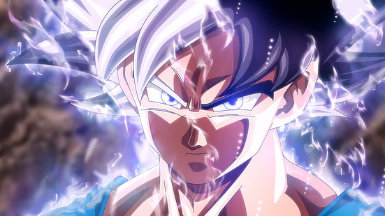 HD wallpaper: Son Goku, Mastered ultra instinct, ultra instict, Ultra-Instinct  Goku | Wallpaper Flare