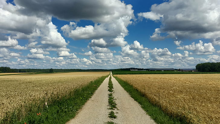 wheat field between the brown road under stratus clouds, Heaven and Earth