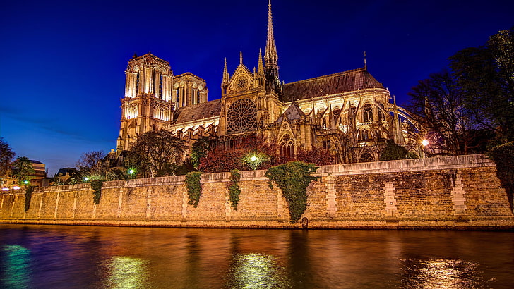 notre dame, paris, europe, building, night, architecture, cathedral