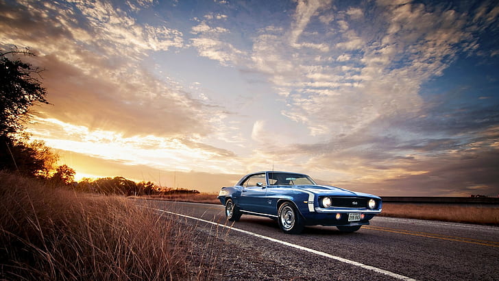 Sports Car, Auto, Chevrolet Camaro SS, Muscle Cars, Nature, Road, blue and white ford mustang
