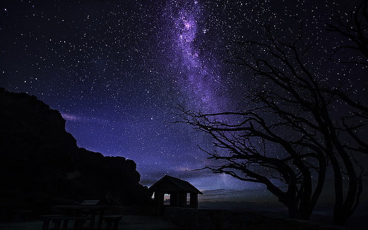 Milky Way galaxy, lights, nature, trees, night, stars, cabin, HD wallpaper