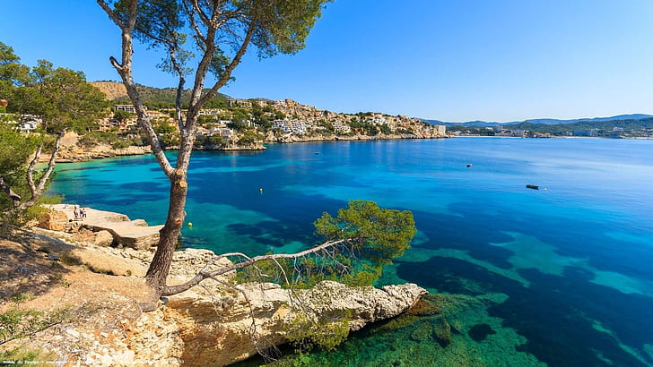 Palma, Menorca, tree, blue sea, coast, houses, Spain