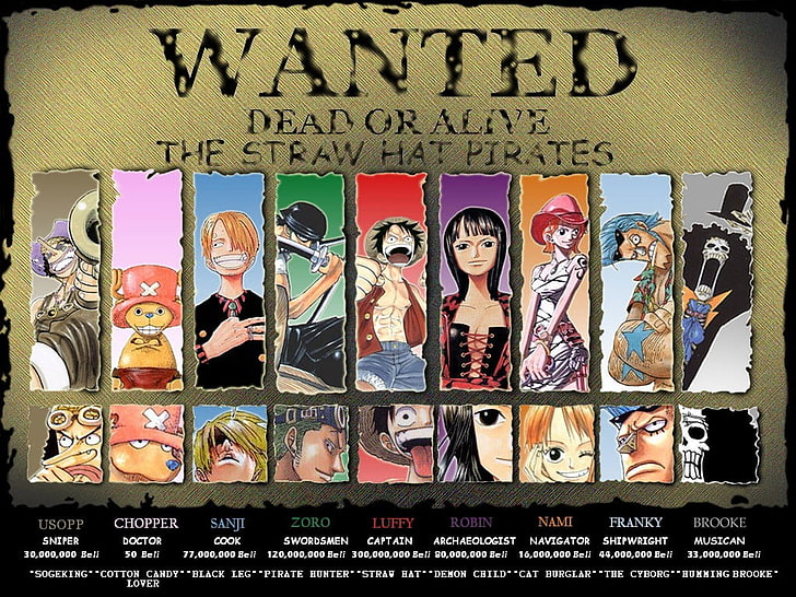 One Piece Straw Hat Pirated wanted poster wallpaper, Monkey D. Luffy, HD wallpaper