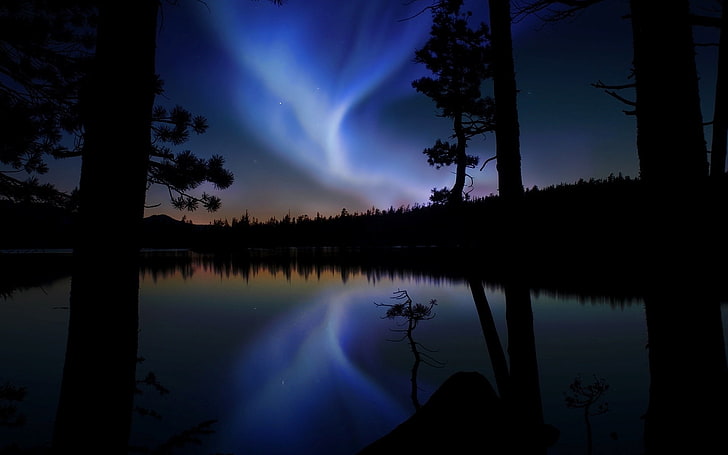 polar light, night sky, glow, lake, outlines, nature, water, forest