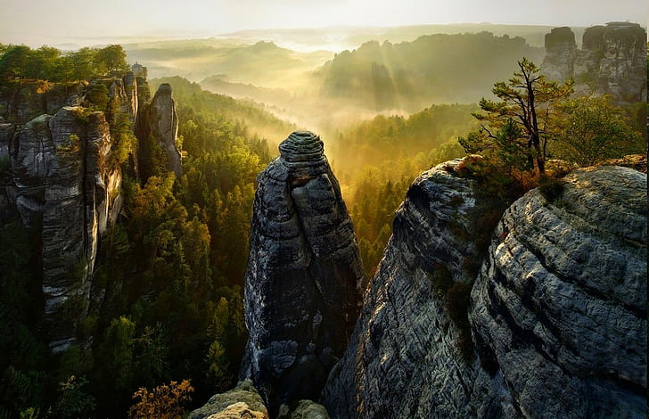 forest cliff mist valley trees sunrise sun rays saxon switzerland mountain nature landscape, HD wallpaper