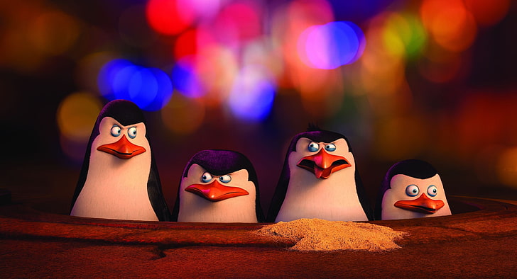 penguins of madagascar 4k  hd windows, human representation, HD wallpaper