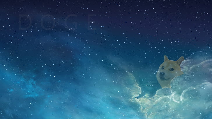 Doge Wow wallpaper astronaut dog doge earth flag landing meme moon  HD wallpaper  Wallpaperbetter
