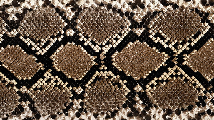 gray and brown snakeskin, texture, surface, stains, pattern, backgrounds, HD wallpaper