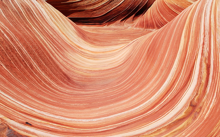 North Coyote Buttes, arizona, brown, geology, nature, photography, HD wallpaper
