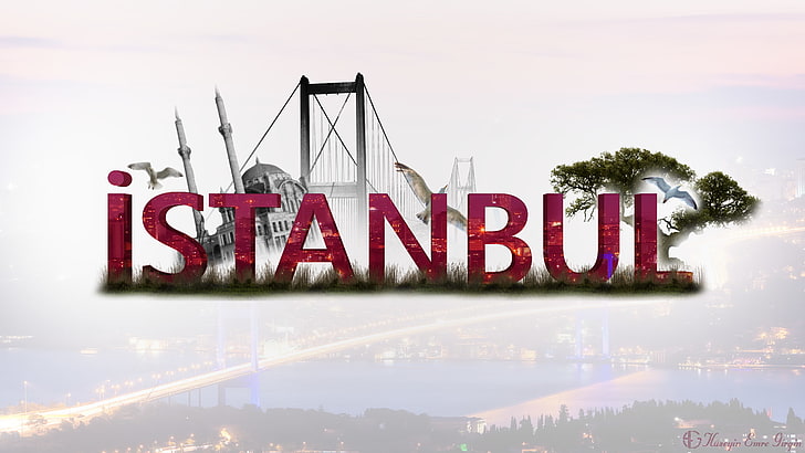 Istanbul, city, bridge, trees, mosque, birds, text, western script, HD wallpaper