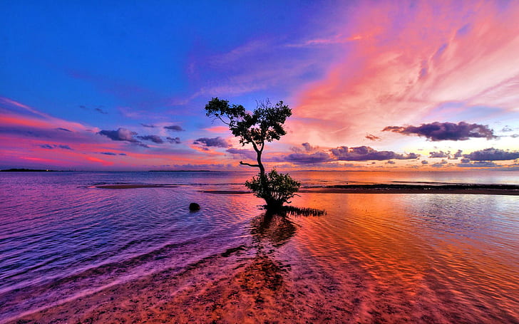 Sea Ocean Red Sunset Tree Beautiful Horizon Blue Clouds Reflection Wallpaper Hd 3840×2400, HD wallpaper