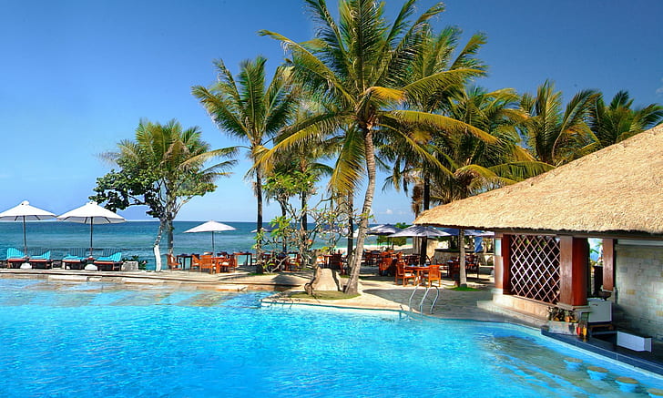 palm trees, sea, hotel, swimming pool, HD wallpaper