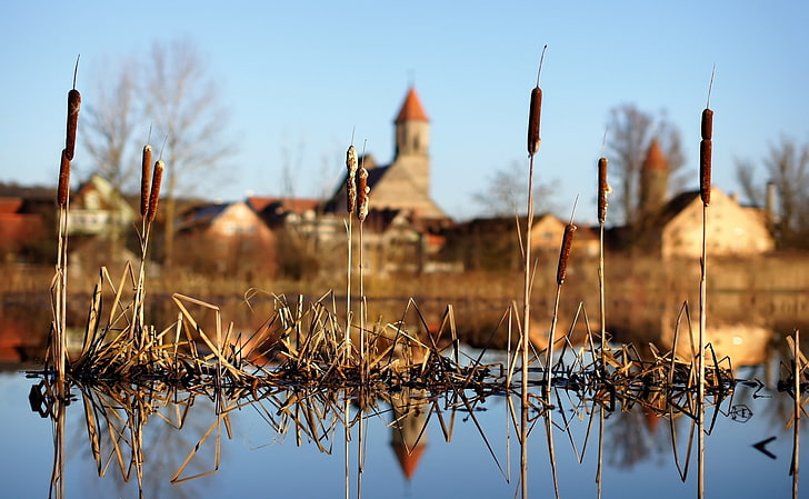landscape, nature, house, spikelets, reflection, water, sky, HD wallpaper
