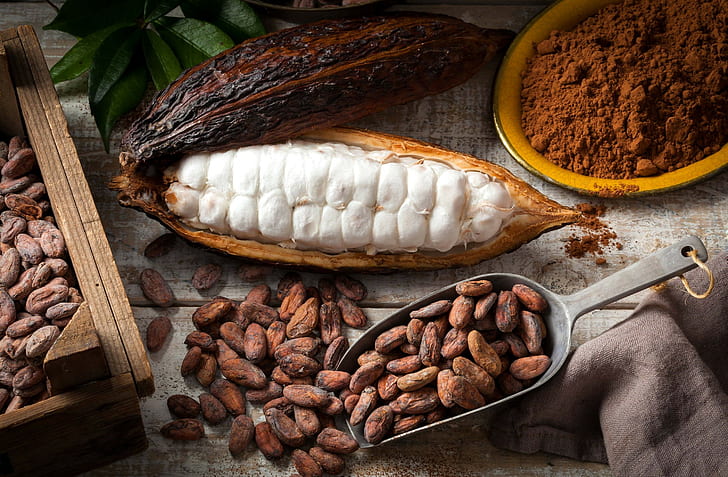 Cocoa beans 1080P 2K 4K 5K HD wallpapers free download  Wallpaper Flare
