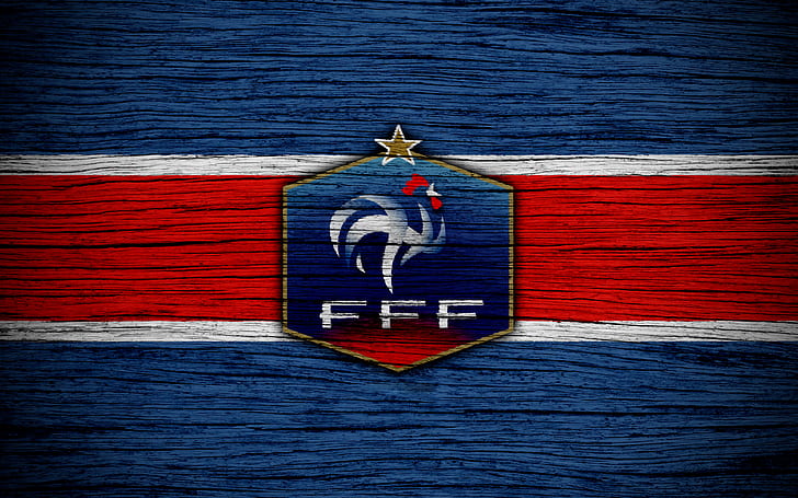 FIFA Futsal World Cup France 2028 Bid Logo by PaintRubber38 on DeviantArt