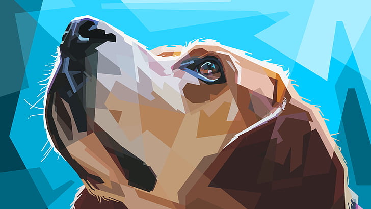 HD wallpaper: animals, digital art, dog, muzzles, illustration, polygon art  | Wallpaper Flare