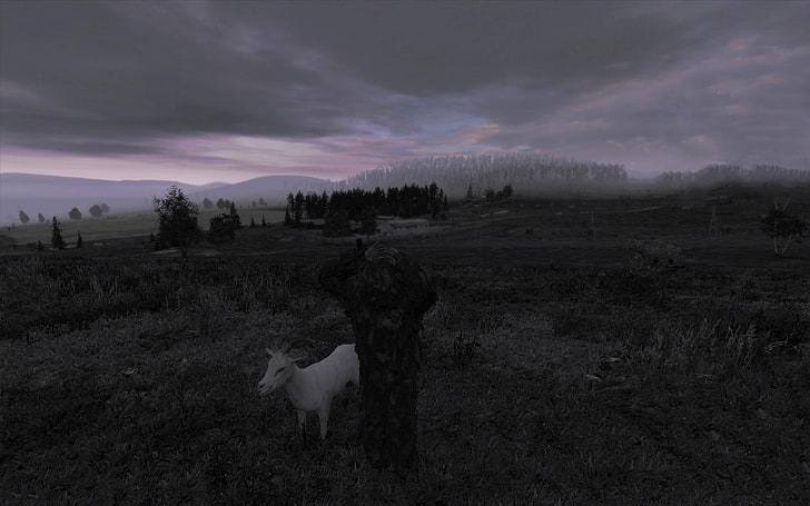 white goat, DayZ, Arma 2, Arma II, goats, landscape, horizon