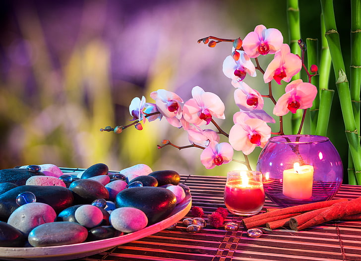 white-and-pink orchid flowers, stones, candle, bamboo, cinnamon, HD wallpaper