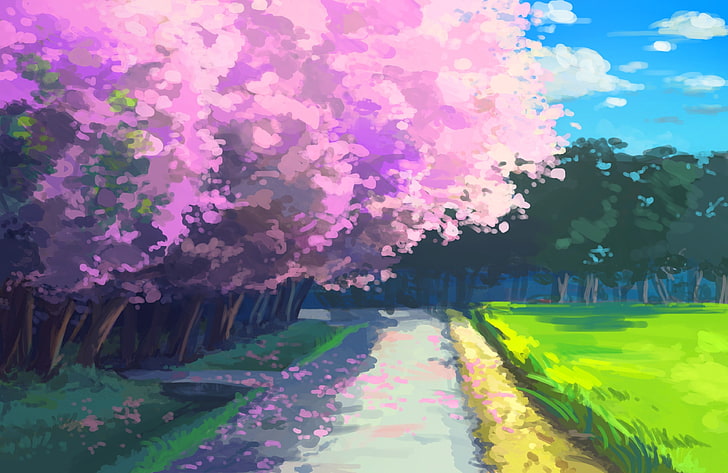 cherry blossom graphics, anime, plant, flower, flowering plant, HD wallpaper