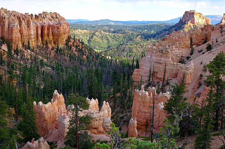 rocky mountain with trees under white clouds blue sky, bryce canyon, bryce canyon