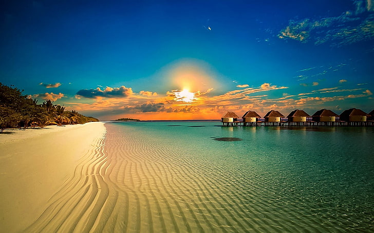 white sand, landscape, nature, beach, resort, palm trees, sunset