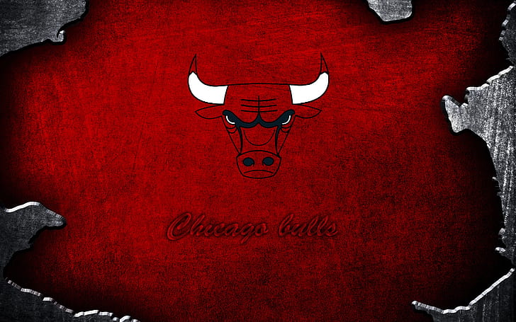 Chicago Bulls Grunge, cb logo, background, basketball team