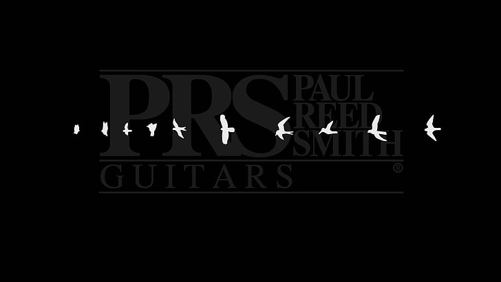 flying birds illustration, prs , music, guitar, western script, HD wallpaper