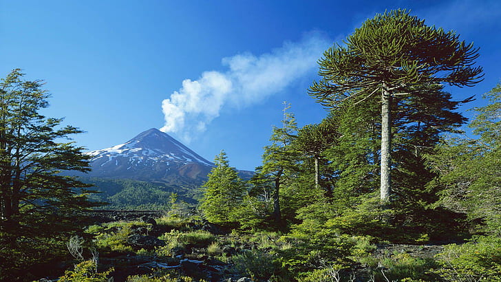 Llaima volcano, Chile, green tree lot, nature, 1920x1080, south america