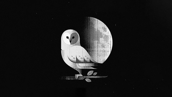 owl and moon illustration, minimalism, no people, representation, HD wallpaper