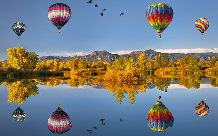 Flying Air Ballons Reflections, four hot air balloons, HD wallpaper