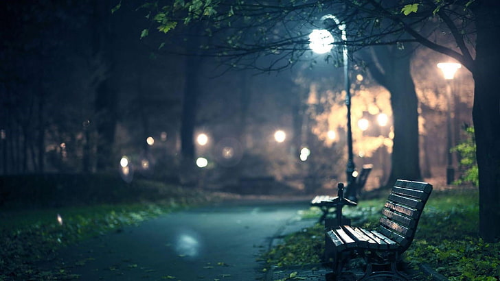 lonely, bench, streetlight, park, dusk, night, street light, HD wallpaper