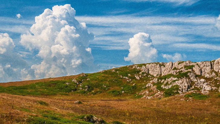 grass, landscape, nature, sky, clouds, cloud - sky, environment, HD wallpaper