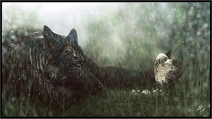 HD wallpaper: black wolf illustration, furry, Anthro, love, sad, tears,  auto post production filter | Wallpaper Flare