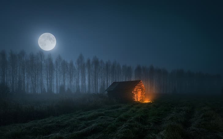 Moon, shack, grass, field, landscape, trees, abandoned, night, HD wallpaper