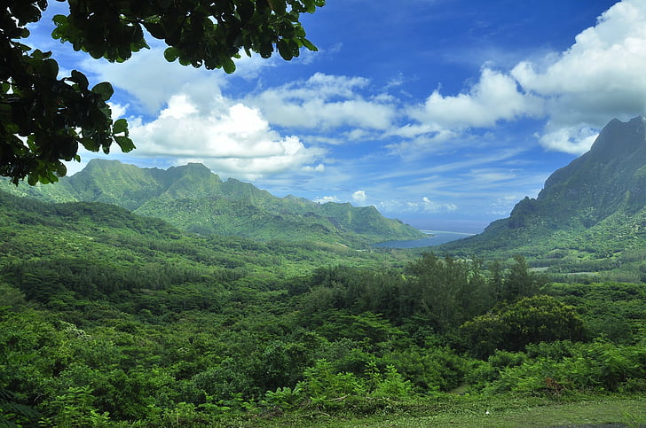 Earth, Landscape, French Polynesia, Island, Moorea, Tahiti, HD wallpaper