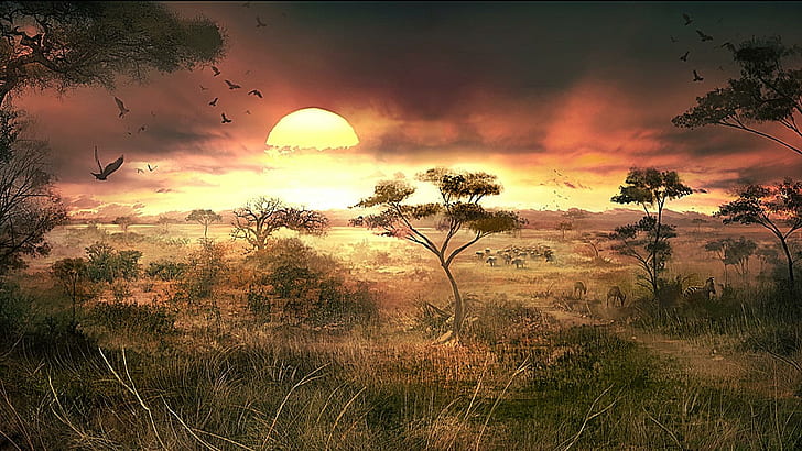 African Sunset, lovely, cool, warm, fascinating, amazing, awesome, HD wallpaper