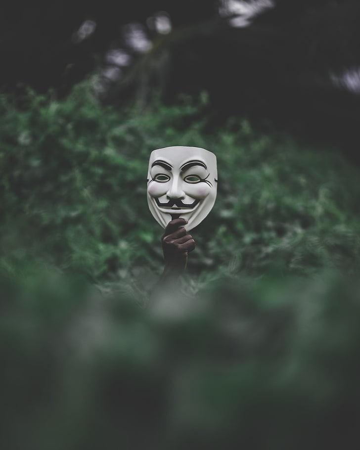 white Guy Fawkes mask, hand, anonymous, grass, plant, spooky