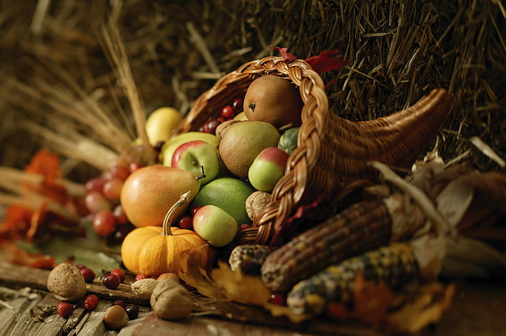 basket of artificial fruits, food, autumn, harvest, composition, HD wallpaper
