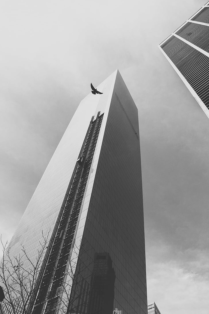New York City, monochrome, cityscape, architecture, flying