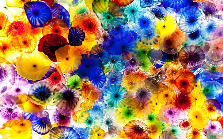 colorful, flowers, digital art, artwork, multi colored, no people, HD wallpaper