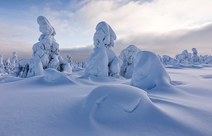 winter, snow, trees, the snow, Finland, Lapland, Sodankylä, HD wallpaper