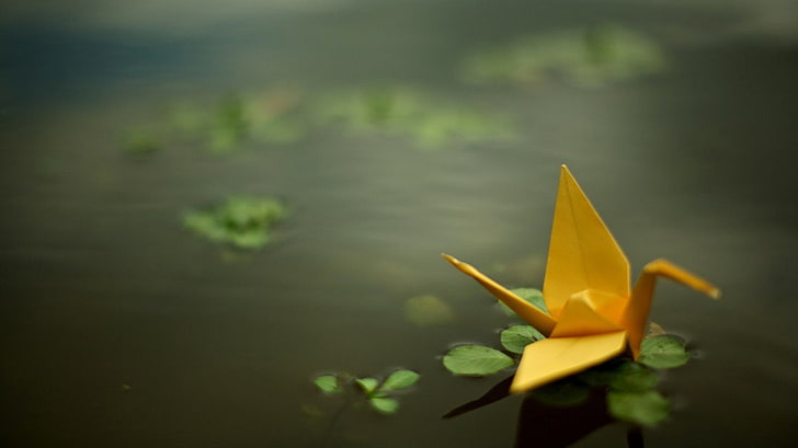 selective focus photography of yellow origami on water, nature