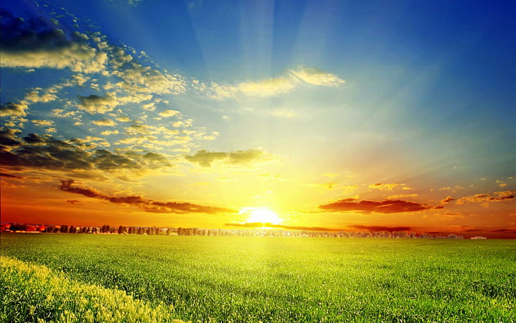 Spring Sun, view, lovely, rays, grass, beautiful, sunset, spring time, HD wallpaper