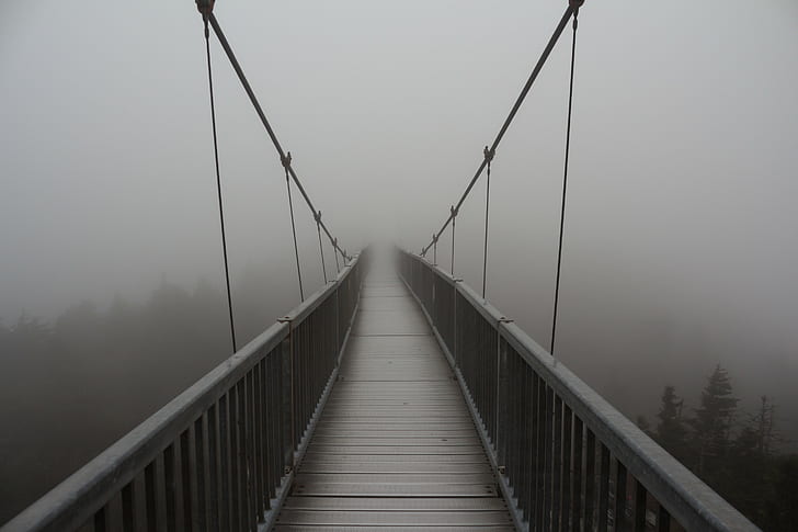 bridge, mist
