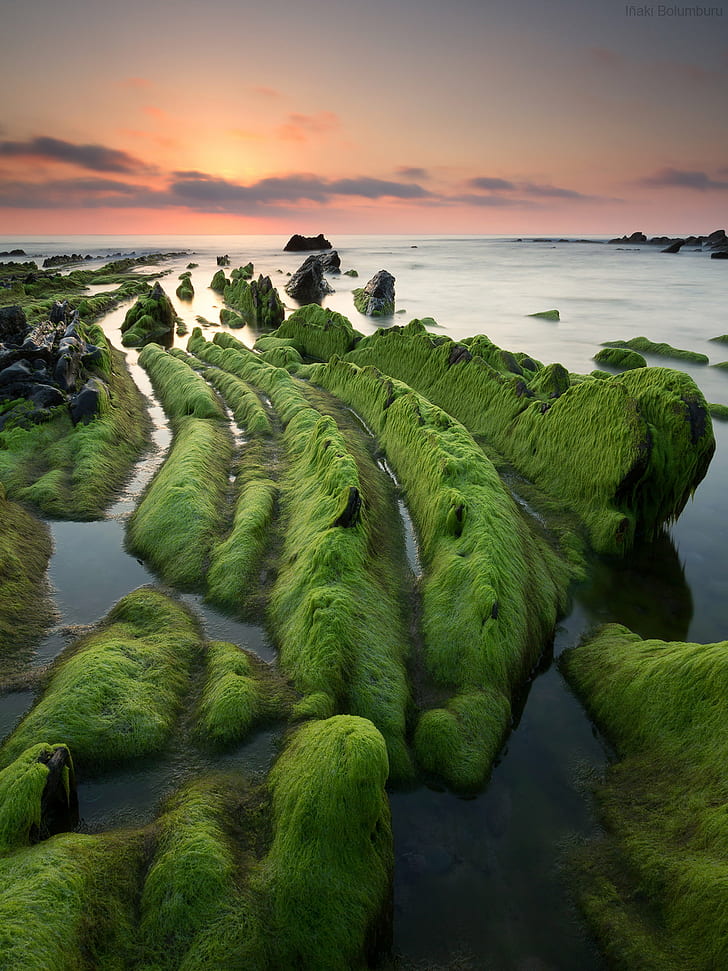 gray rocks with green moss beside body of water during sunset