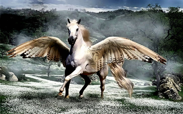 pegasus animal beautiful dream fairytale fantasy horse Horses white wings HD, HD wallpaper