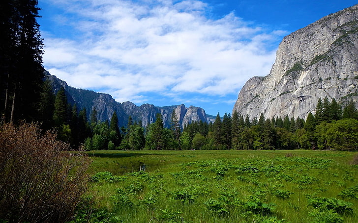 nature, landscape, Yosemite National Park, Yosemite Valley